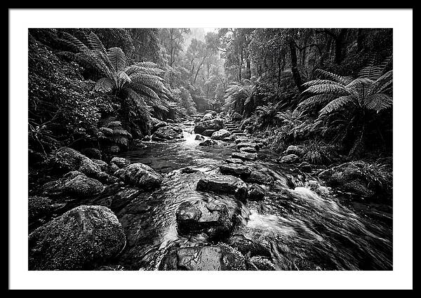 Mountain Stream Serenity