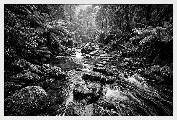 Mountain Stream Serenity