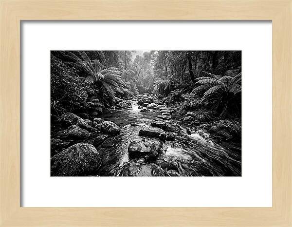 Mountain Stream Serenity