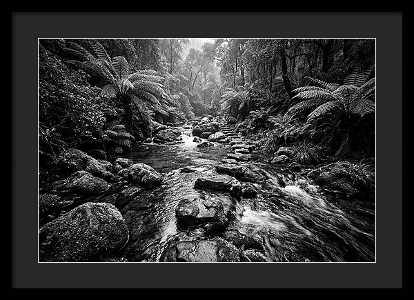 Mountain Stream Serenity