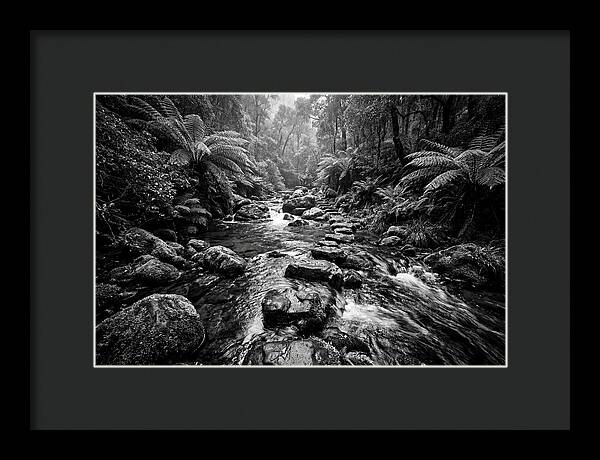 Mountain Stream Serenity