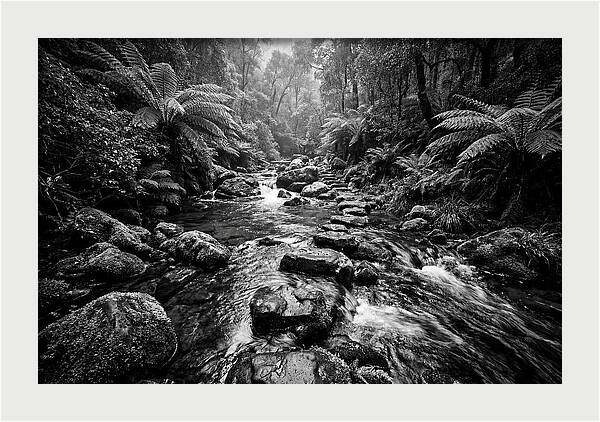 Mountain Stream Serenity