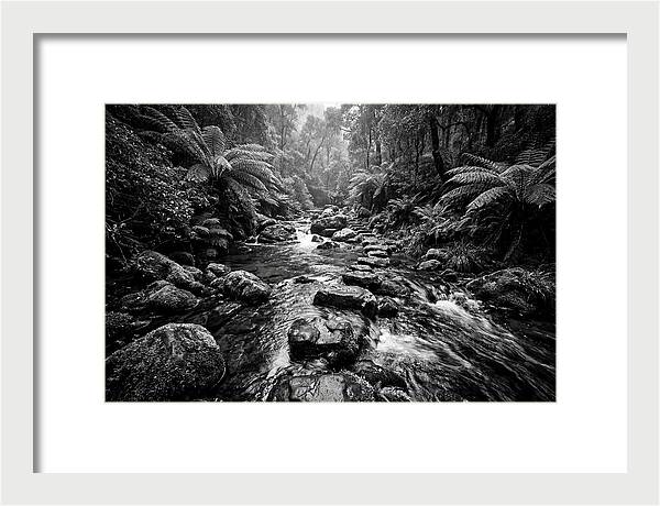 Mountain Stream Serenity