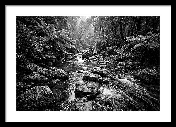 Mountain Stream Serenity