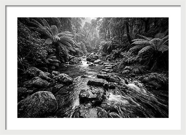 Mountain Stream Serenity