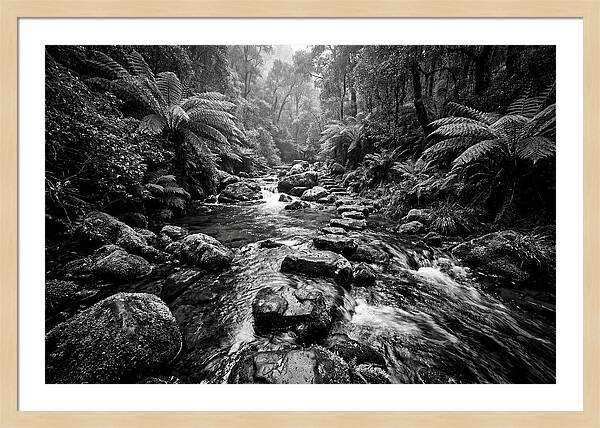 Mountain Stream Serenity