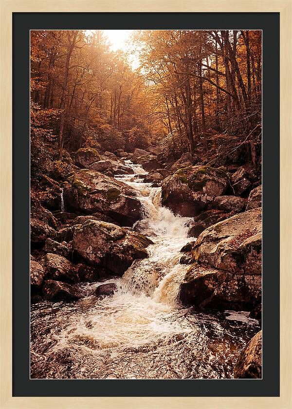 Mountain Torrent Over Granite