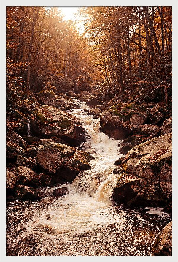 Mountain Torrent Over Granite