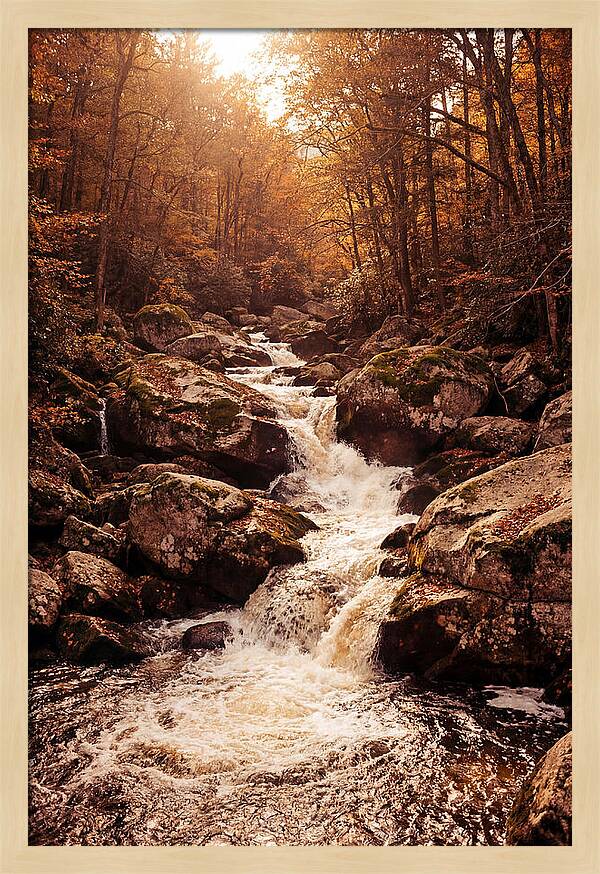Mountain Torrent Over Granite