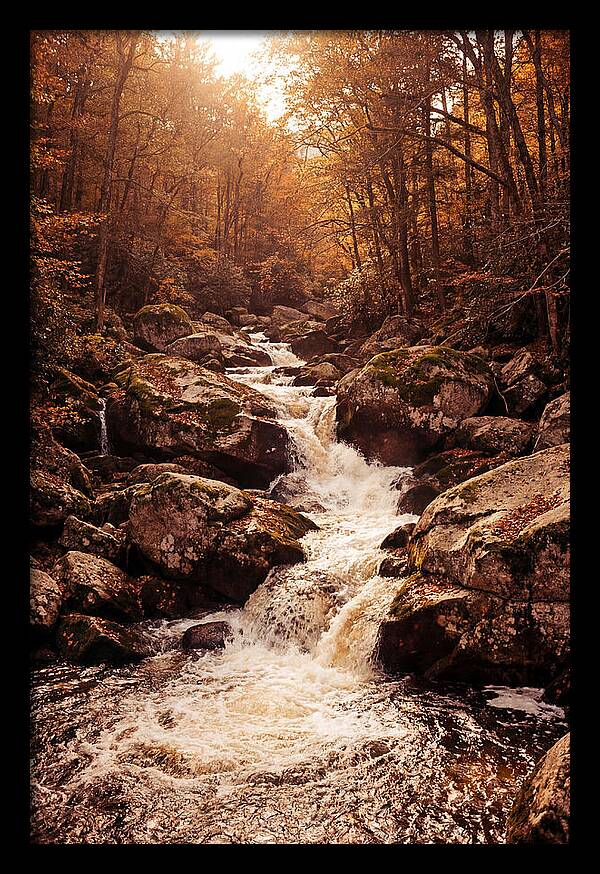 Mountain Torrent Over Granite