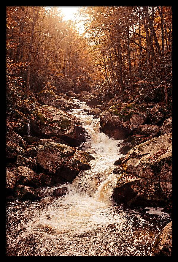 Mountain Torrent Over Granite