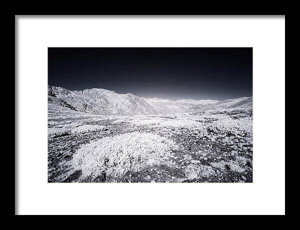Mountain Tranquility Above Treeline