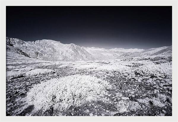 Mountain Tranquility Above Treeline