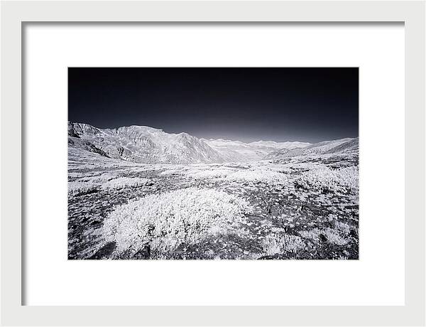 Mountain Tranquility Above Treeline