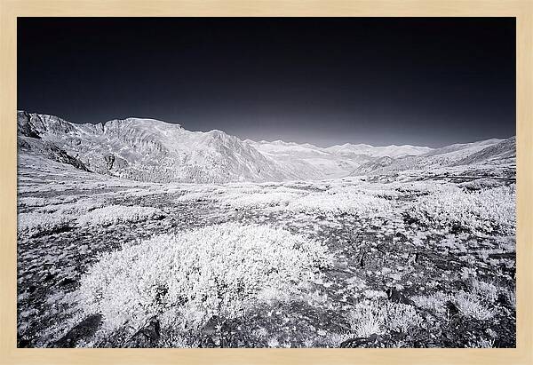 Mountain Tranquility Above Treeline