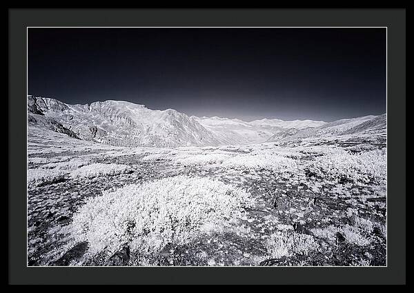 Mountain Tranquility Above Treeline