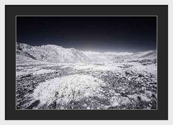 Mountain Tranquility Above Treeline