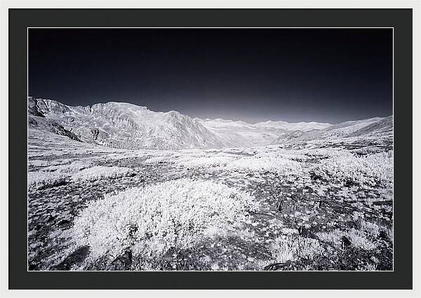 Mountain Tranquility Above Treeline