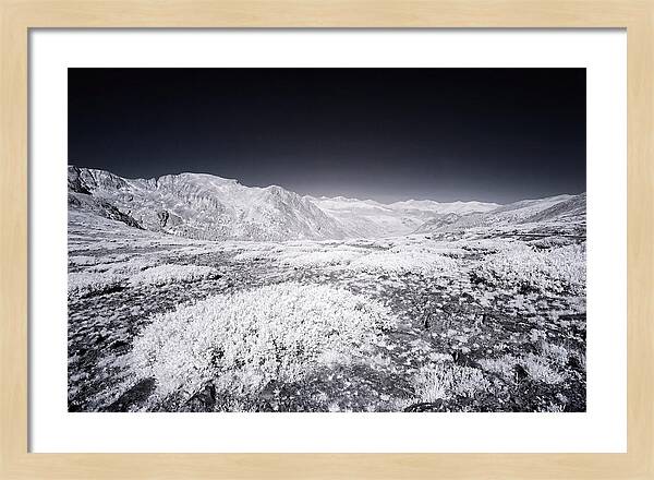 Mountain Tranquility Above Treeline