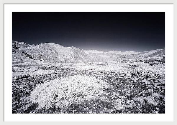 Mountain Tranquility Above Treeline