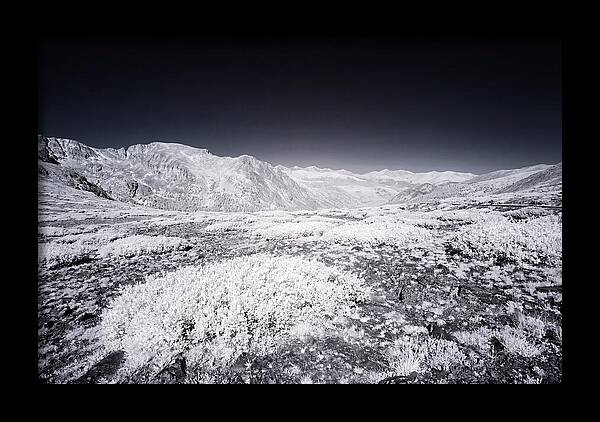 Mountain Tranquility Above Treeline