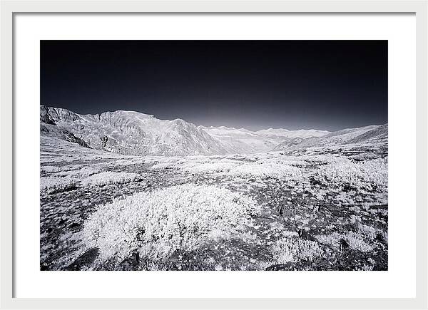 Mountain Tranquility Above Treeline