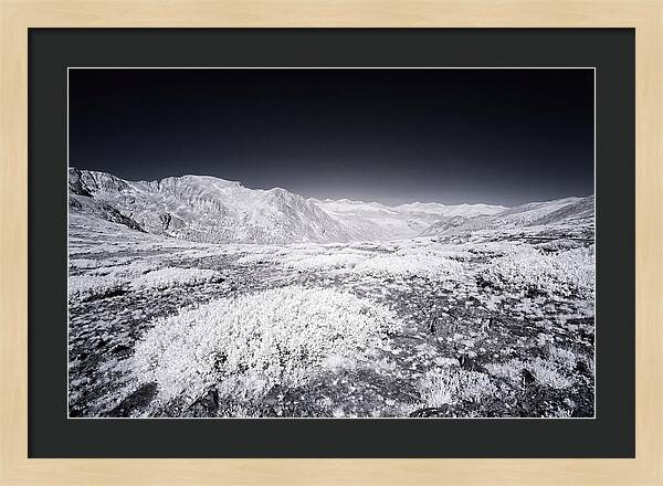 Mountain Tranquility Above Treeline