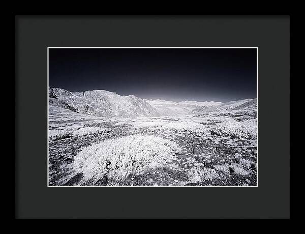 Mountain Tranquility Above Treeline