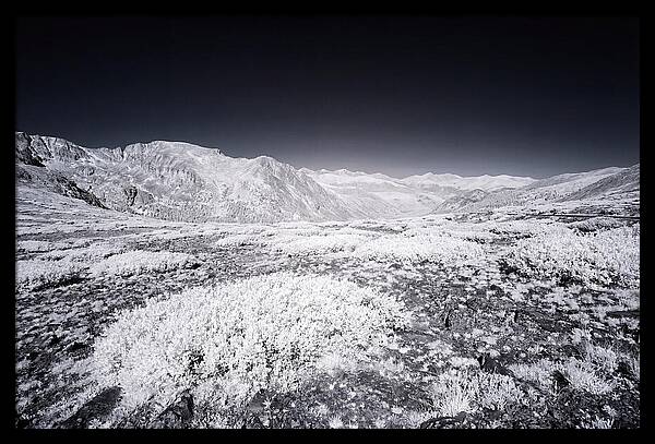 Mountain Tranquility Above Treeline