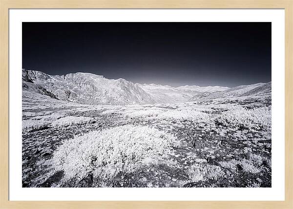 Mountain Tranquility Above Treeline