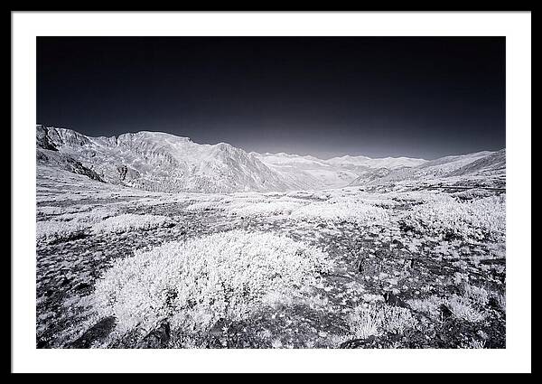 Mountain Tranquility Above Treeline