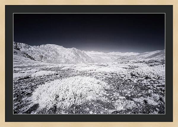 Mountain Tranquility Above Treeline