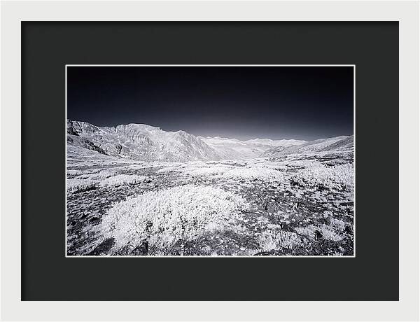 Mountain Tranquility Above Treeline