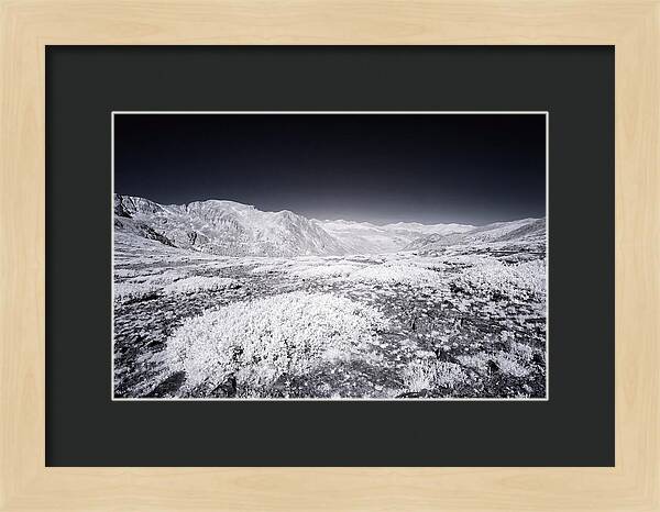 Mountain Tranquility Above Treeline