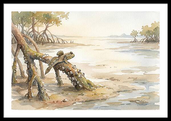 Mudskipper On Mangrove Root
