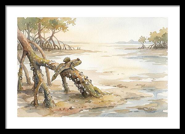 Mudskipper On Mangrove Root