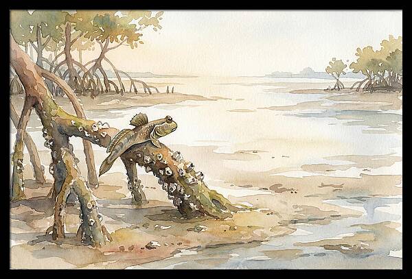 Mudskipper On Mangrove Root