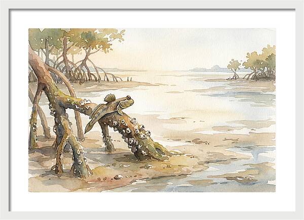 Mudskipper On Mangrove Root