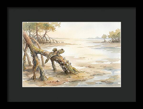 Mudskipper On Mangrove Root