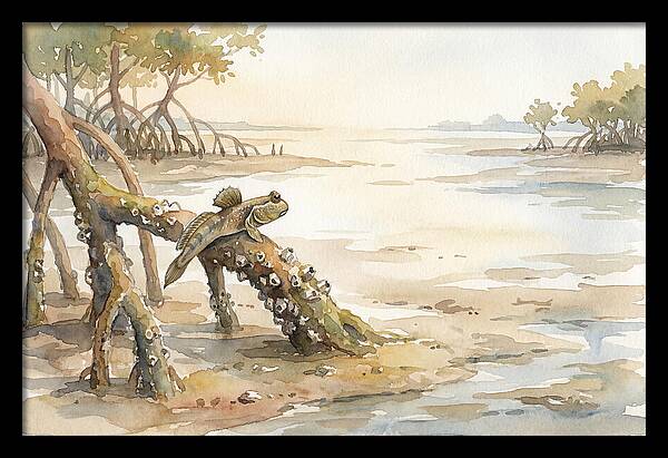 Mudskipper On Mangrove Root