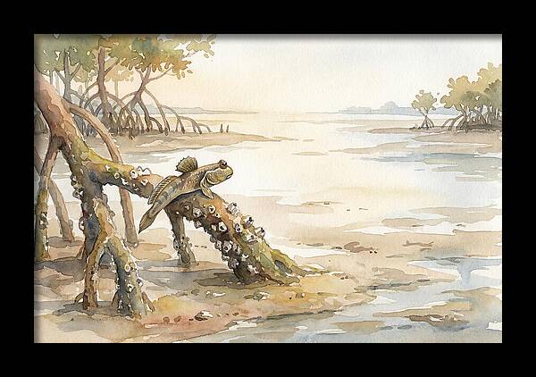 Mudskipper On Mangrove Root
