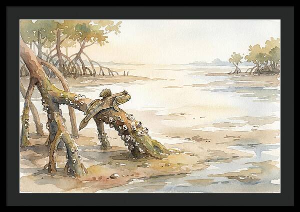 Mudskipper On Mangrove Root