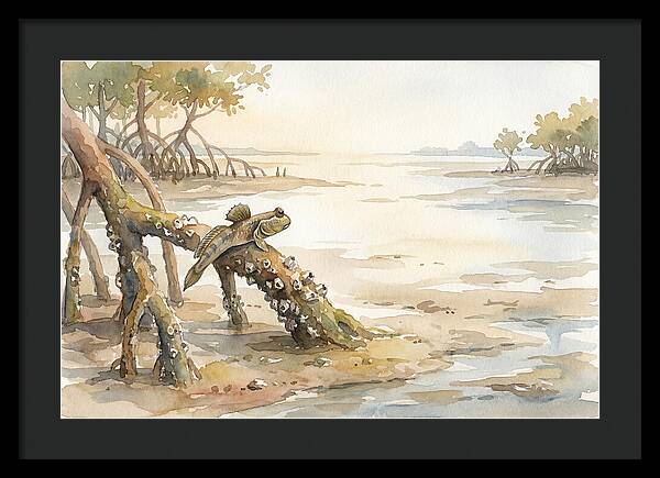Mudskipper On Mangrove Root