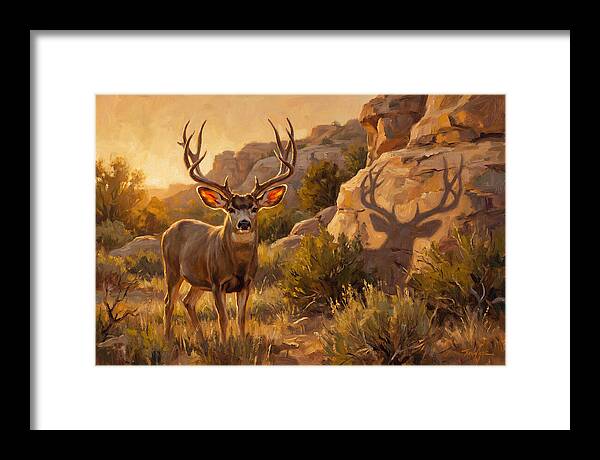 Mule Deer Bathed In Warm Glow