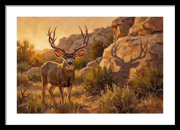Mule Deer Bathed In Warm Glow