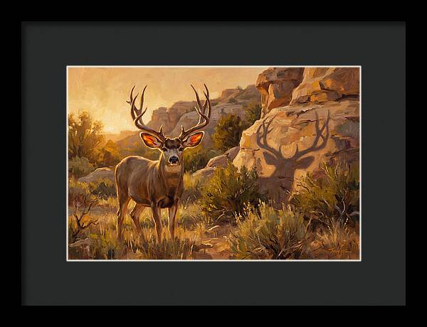 Mule Deer Bathed In Warm Glow