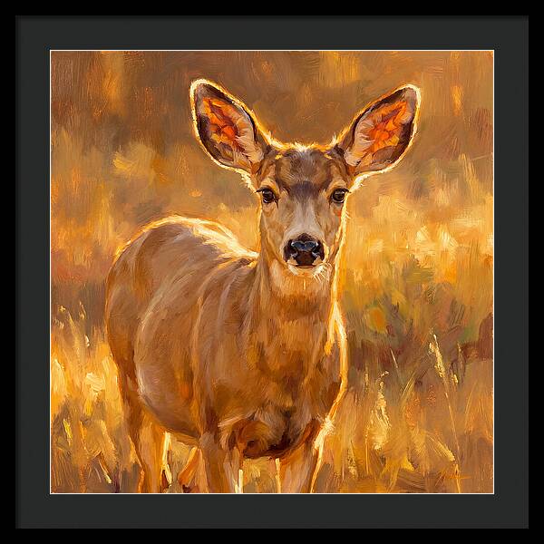 Mule Deer In Golden Light