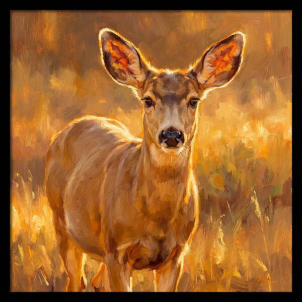 Mule Deer In Golden Light