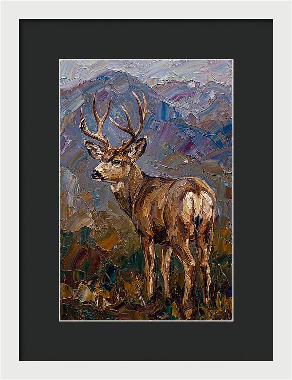 Mule Deer In Nature