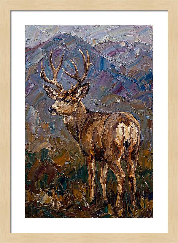 Mule Deer In Nature